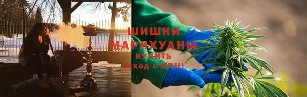 сатива Бугульма