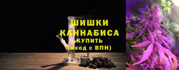 мдпв Бронницы