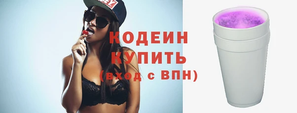 амф Бородино