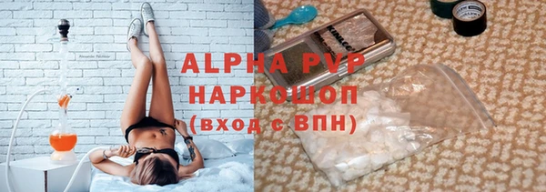 амф Бородино