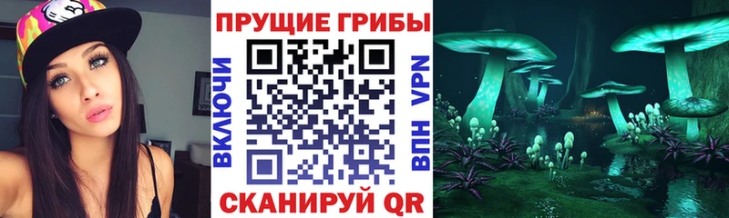 Купить закладки  Усть-Катав  Псилоцибиновые грибы прущие грибы 
